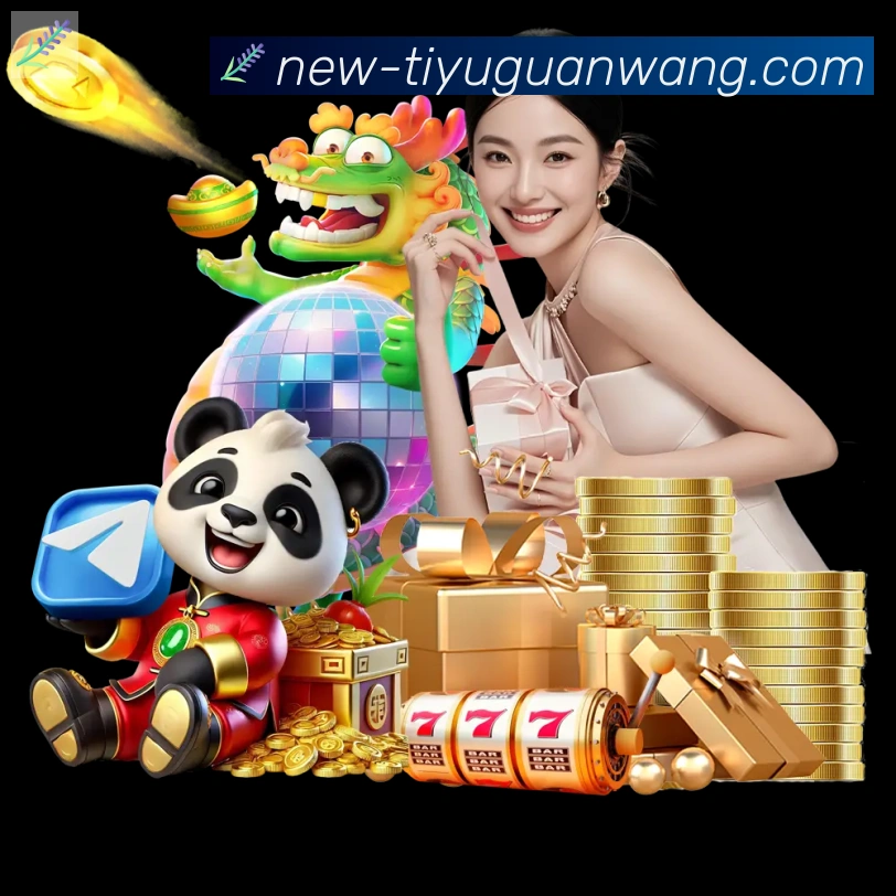 奖项证书